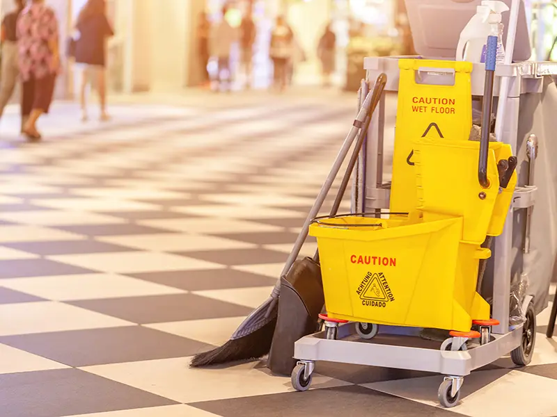 Iris Lawncare Services